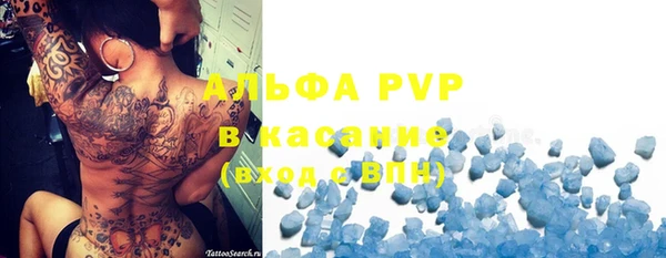 шишки Белокуриха
