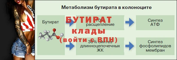 шишки Белокуриха