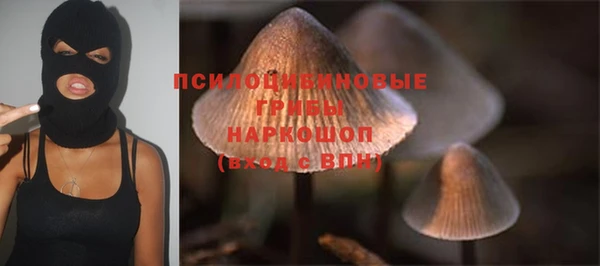 шишки Белокуриха