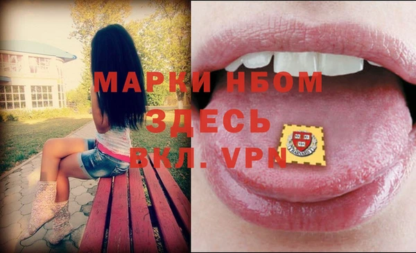 шишки Белокуриха