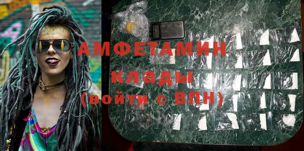 шишки Белокуриха