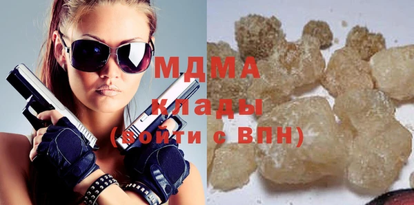 шишки Белокуриха