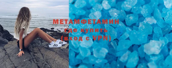 шишки Белокуриха