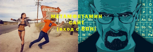 шишки Белокуриха