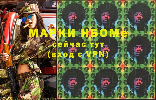 шишки Белокуриха