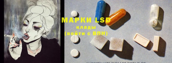 PSILOCYBIN Беломорск