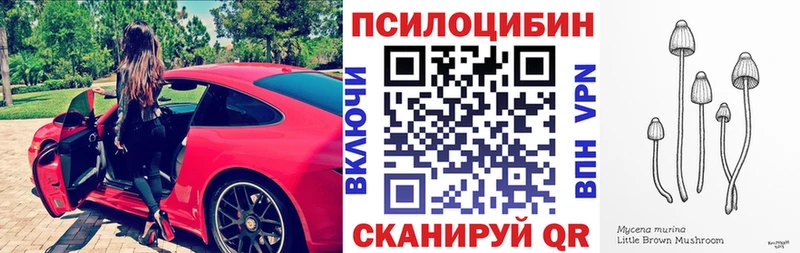 Псилоцибиновые грибы Psilocybine cubensis цены наркотик Луховицы